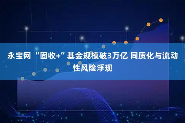 永宝网 “固收+”基金规模破3万亿 同质化与流动性风险浮现