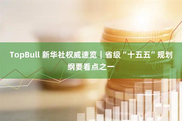 TopBull 新华社权威速览｜省级“十五五”规划纲要看点之一