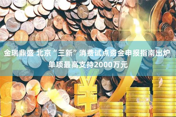 金瑞鼎盛 北京“三新”消费试点资金申报指南出炉 单项最高支持2000万元